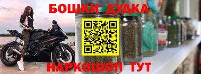индика Пугачёв