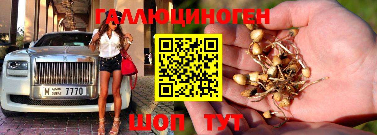 Галлюциногенные грибы Magic Shrooms  Галлюциногенные грибы прущие грибы  Свободный  Вход с VPN 